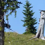 Haus Resi Berwang
