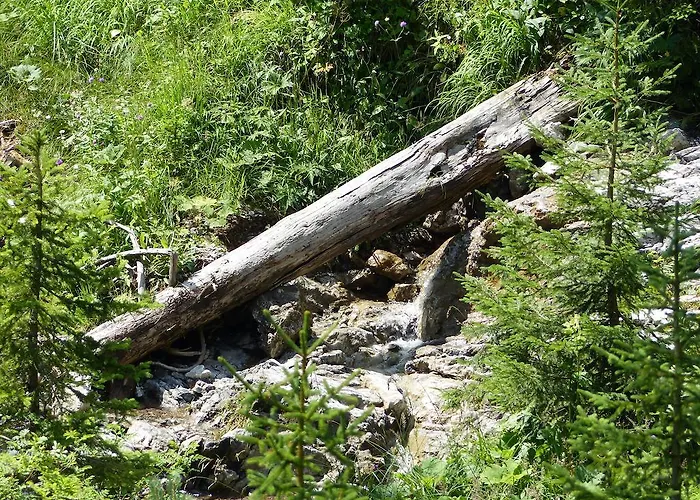 Апартаменты Haus Resi *