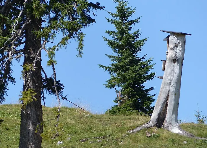 Haus Resi Берванг