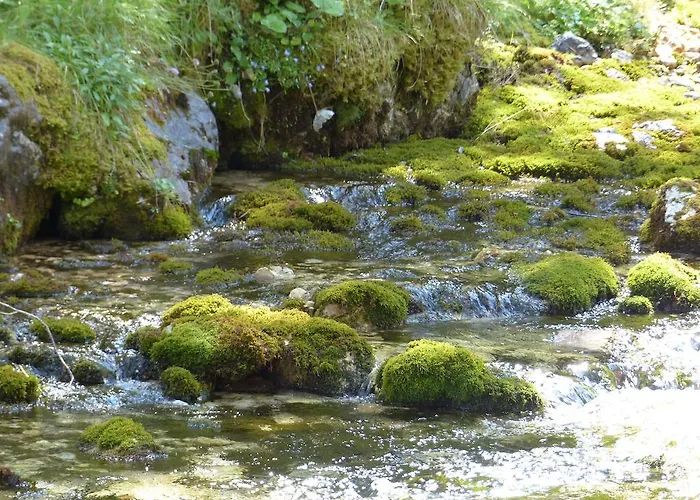 Haus Resi Берванг